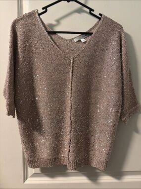 WD.NY Sequin-Embellished V-Neck Short Sleeve Sweater in Taupe